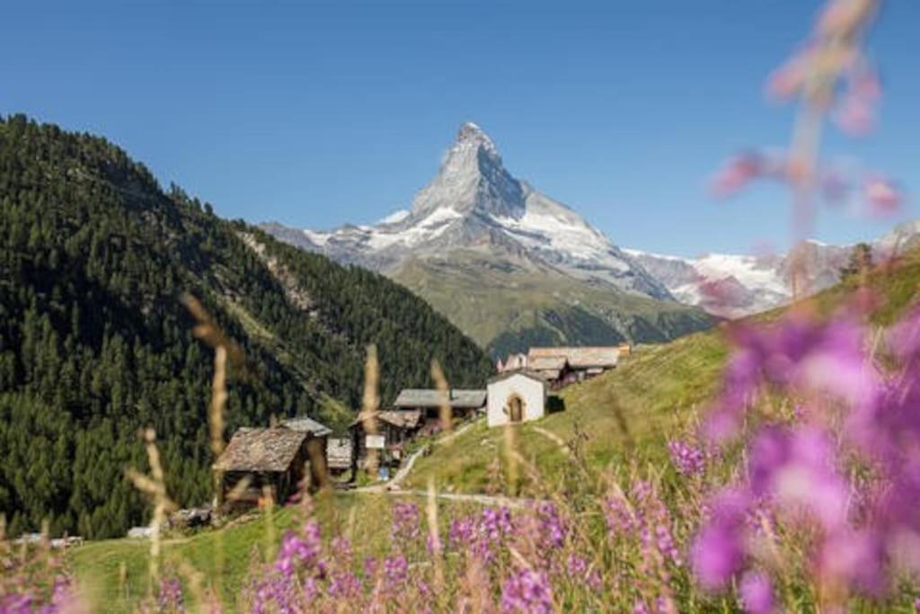 체르마트 Chalet Rofel 아파트 외부 사진