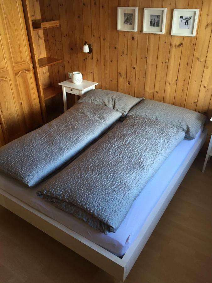 체르마트 Chalet Rofel 아파트 외부 사진