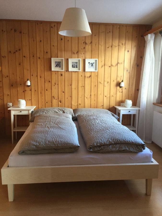 체르마트 Chalet Rofel 아파트 외부 사진